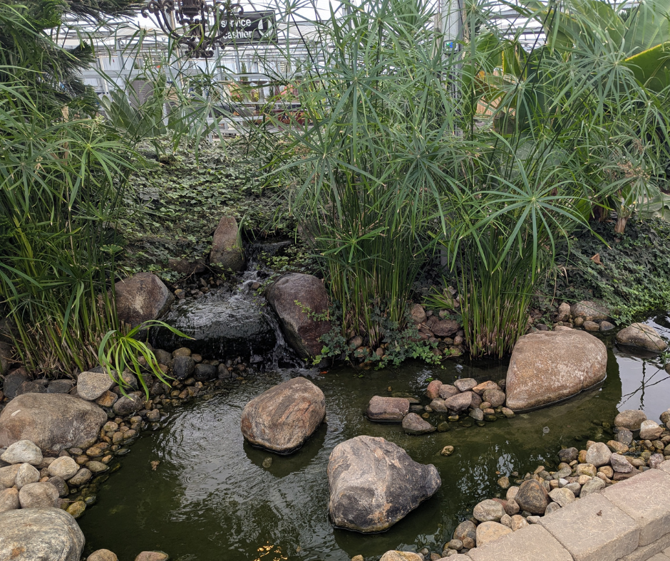 Waterfall and stream in the greenhouse garden