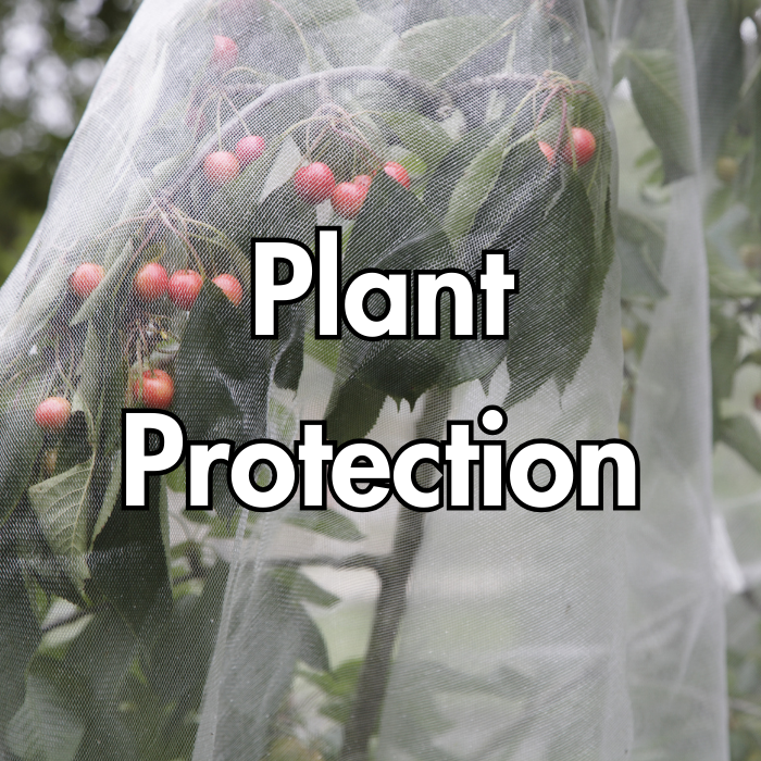 Plant Protection