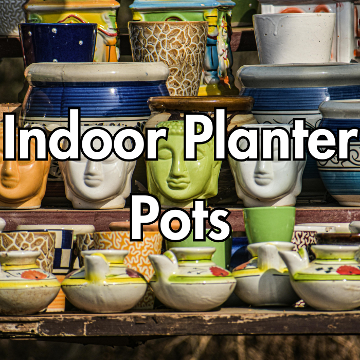 Indoor Planter Pots