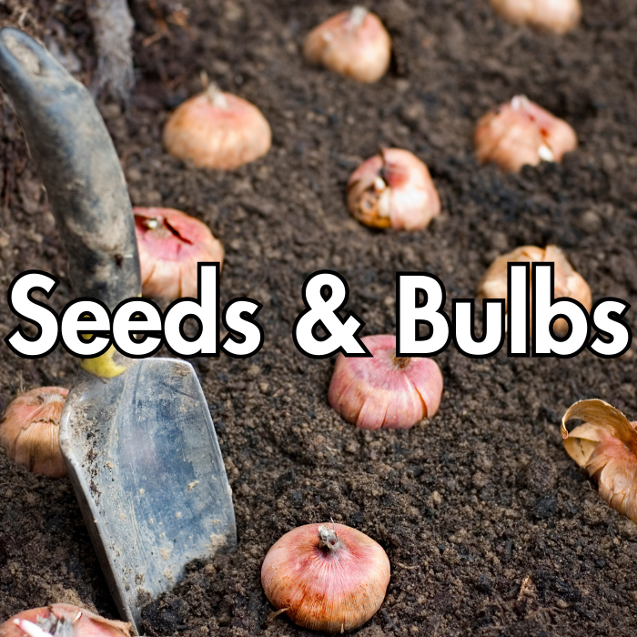 Seeds & Bulbs