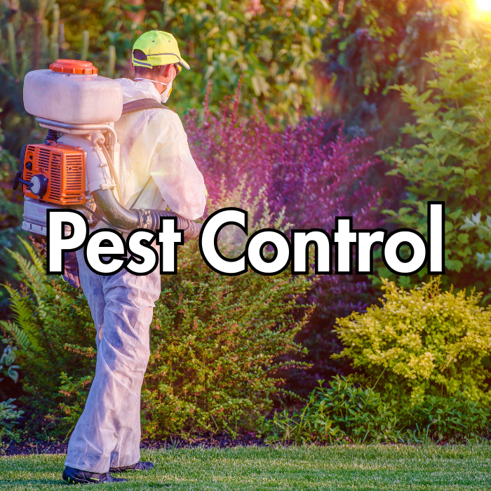 Pest Control