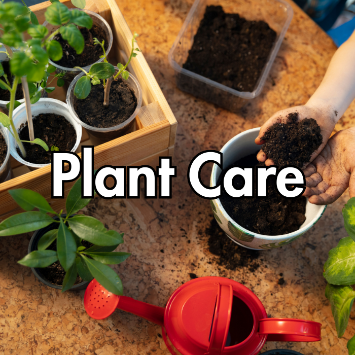 Plant Care
