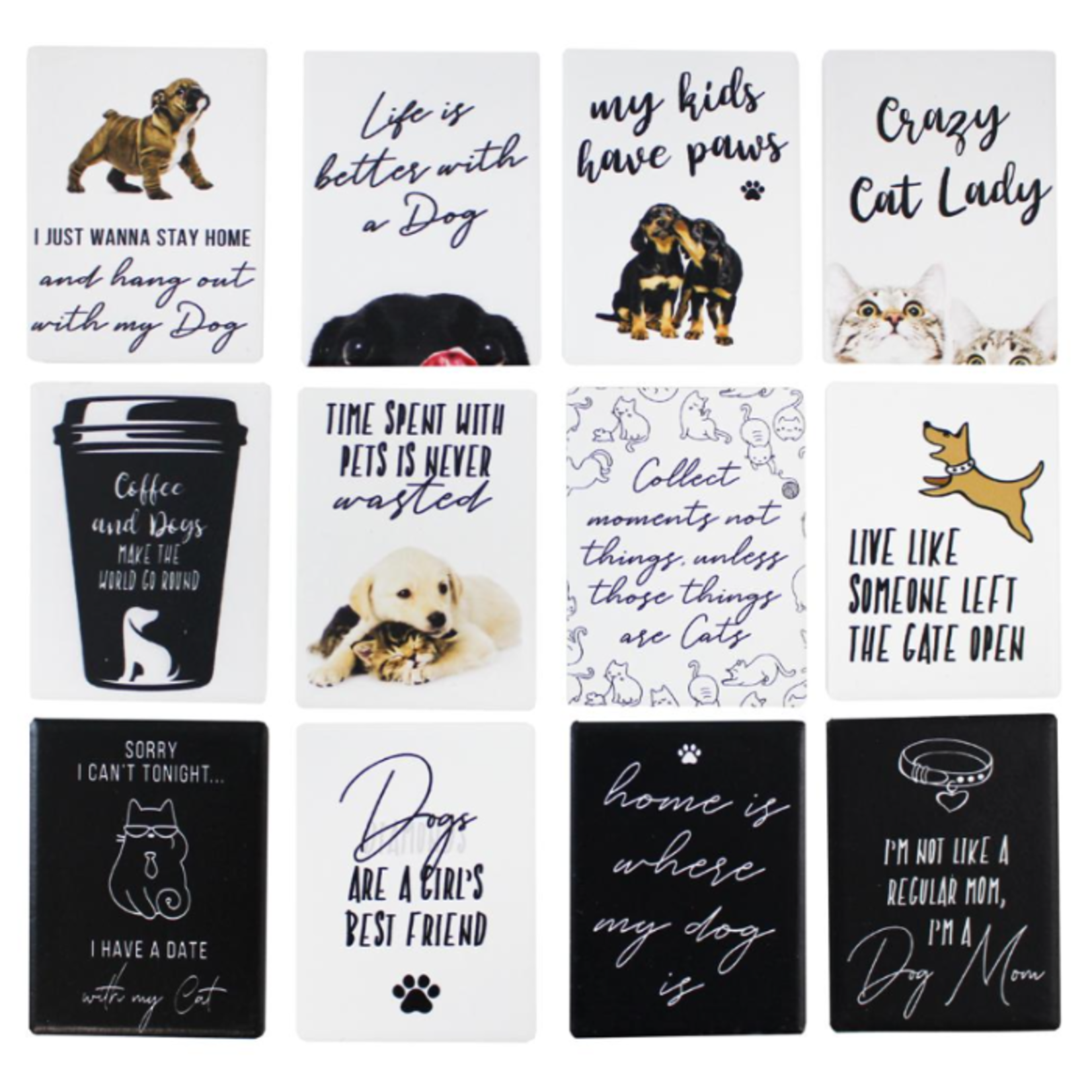Splash Ceramic Pet Magnet w/ Sayings - Assorted Styles