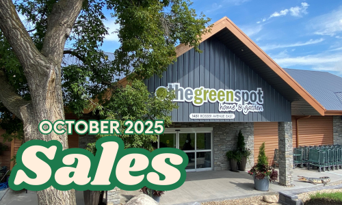 October Sales 2025