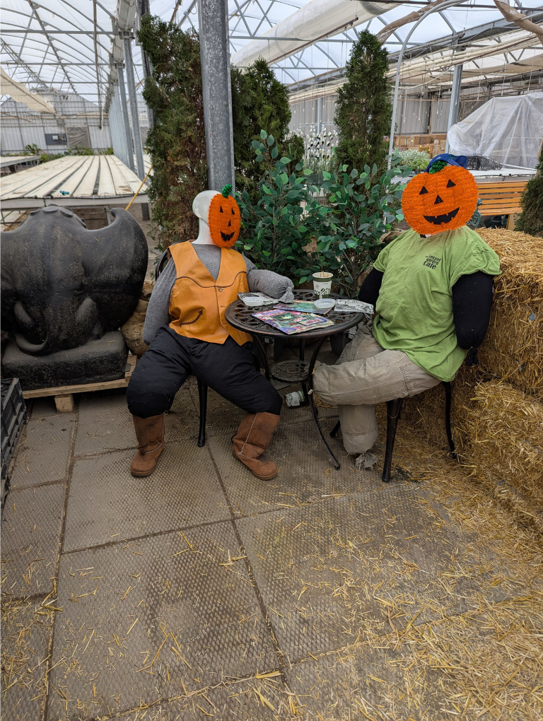 Smiling pumpkin decorations inside the maze