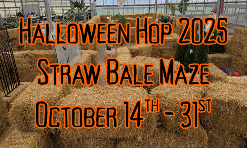 Halloween Hop 2025