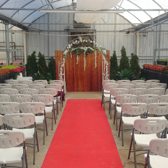 Greenhouse wedding setup
