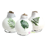 Winter Tropics Waxed Amaryllis (Red Flowering)