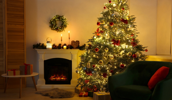 Live Tree Blog Image 3