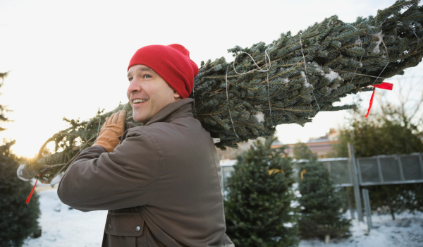 Live Tree Blog Image 1