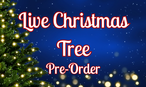 2025 Live Christmas Tree Pre-Order