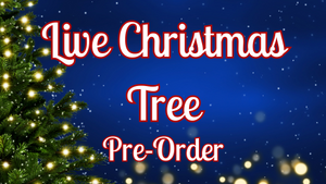2025 Live Christmas Tree Pre-Order