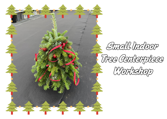 Small Indoor Tree Centerpiece Workshop