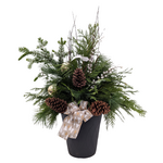 2025 Small Outdoor Porch Pot