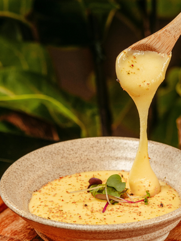 Gourmet du Village Christmas dip mixes