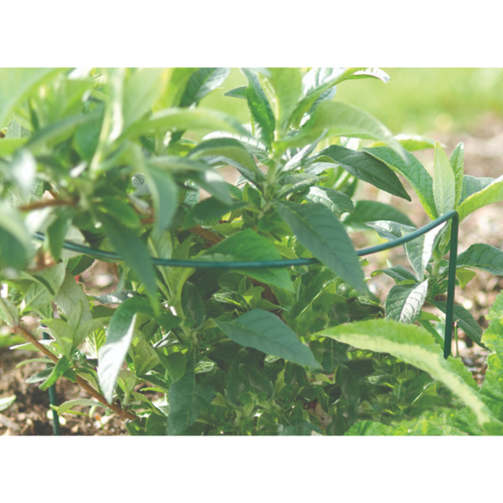 Link-Ups U-Support 8" x 22"