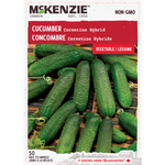 Cucumber Corentine