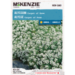 Alyssum Carpet of Snow