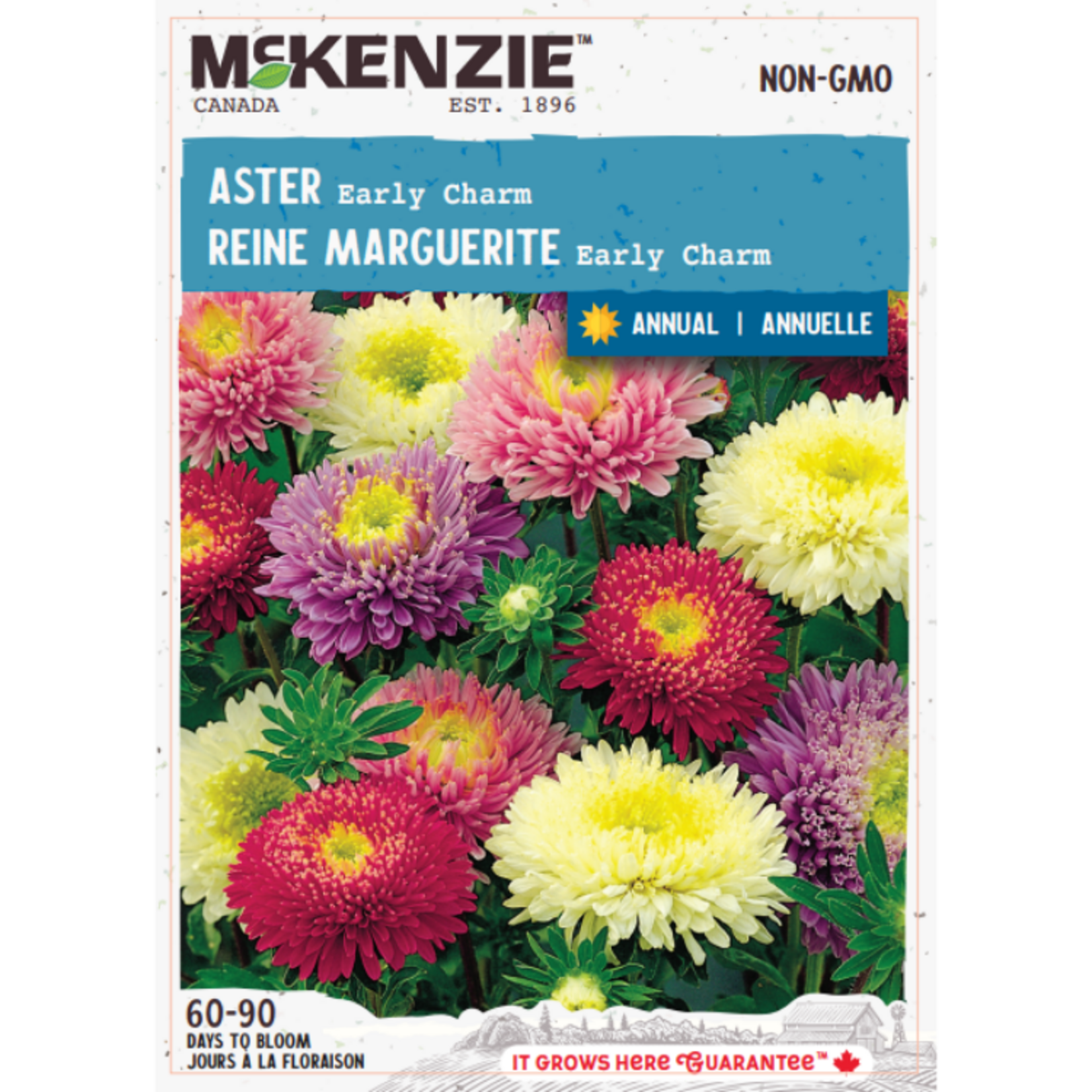 MK 2.49 F Aster Early Charm