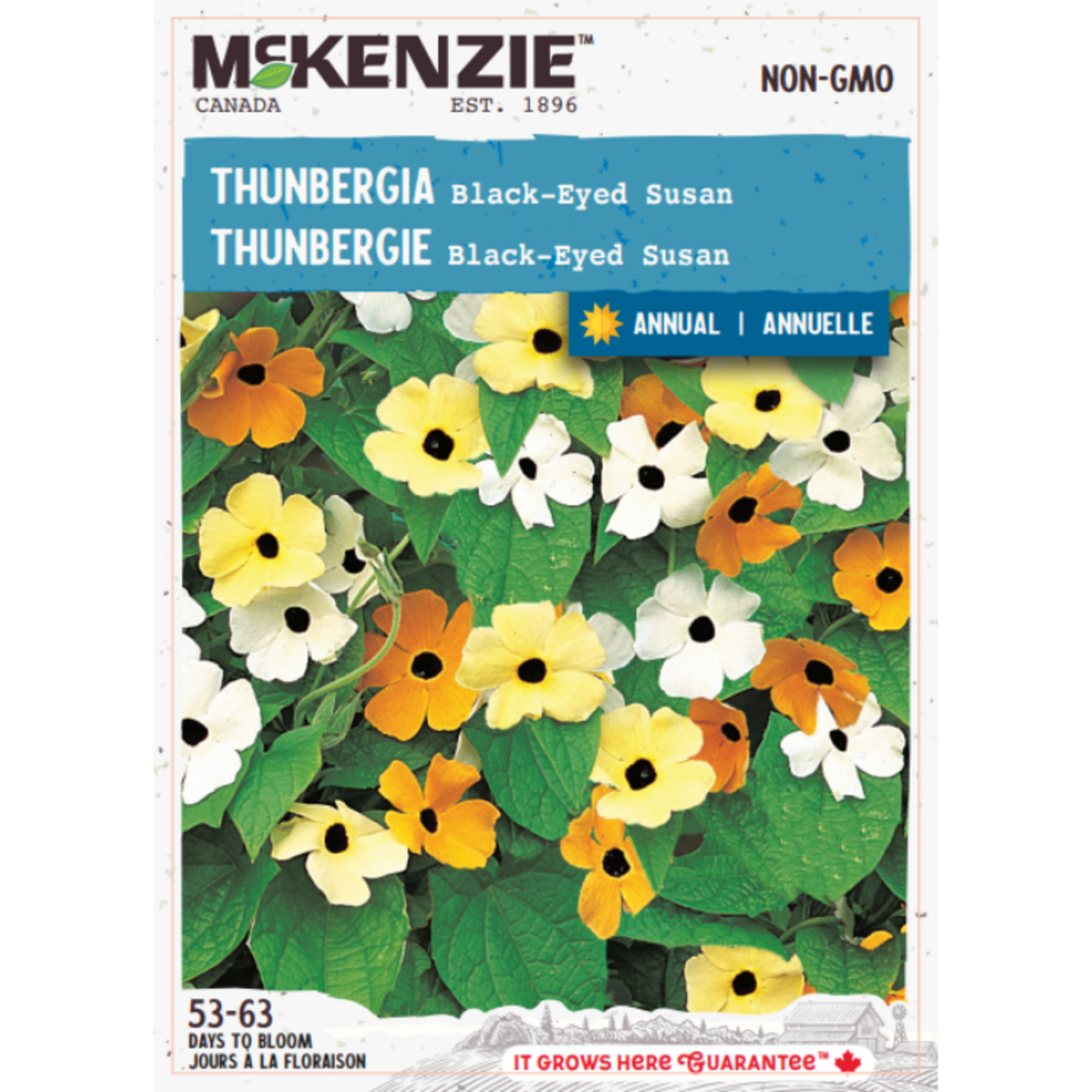 MK 2.79 F Thunbergia Black Eyed Susan