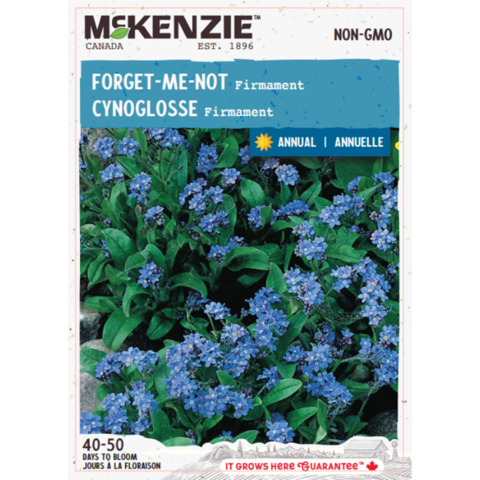 MK 2.49 F Forget-Me-Not Cynoglossum