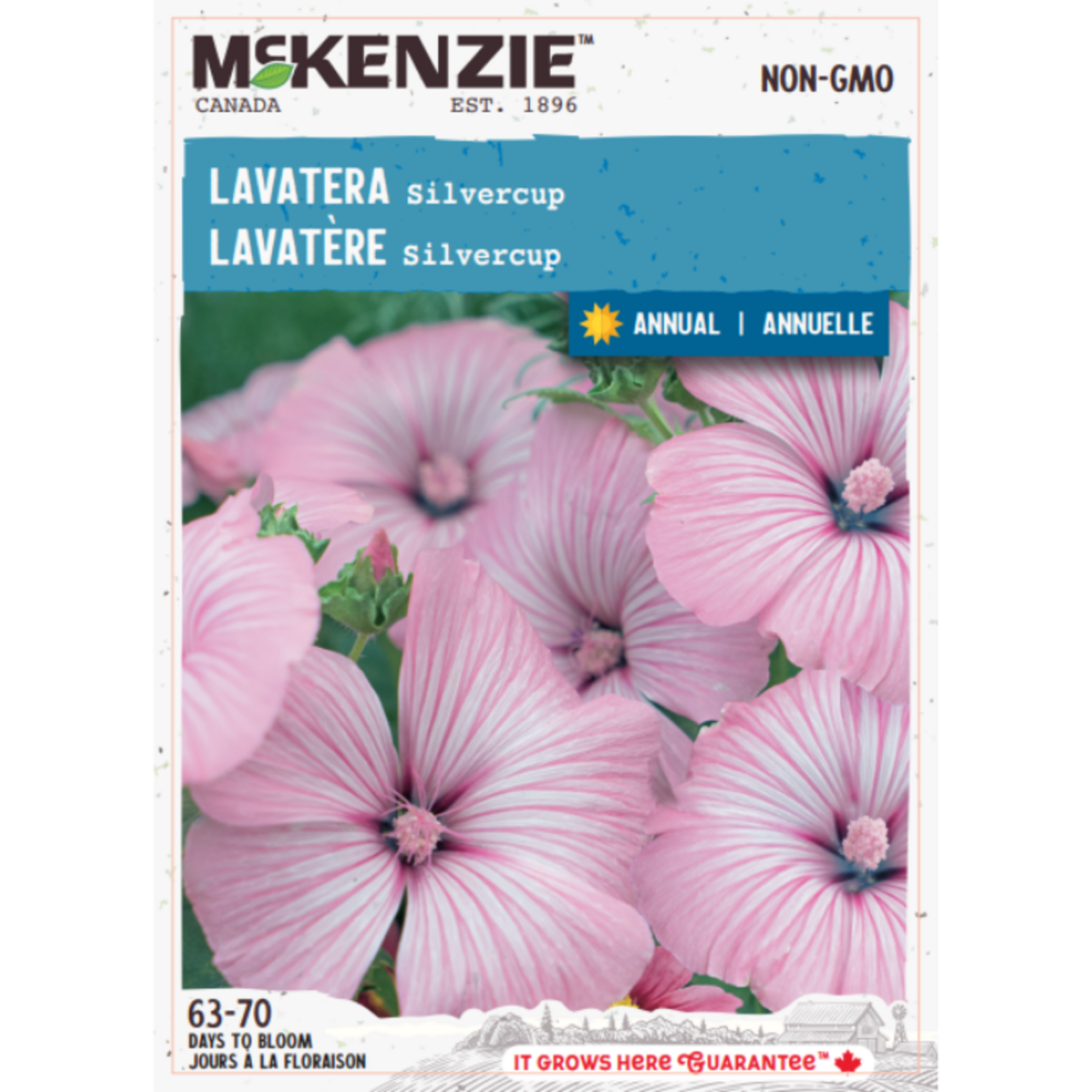 MK 2.49 F Lavatera Silvercup