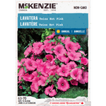 Lavatera Twins Hot Pink