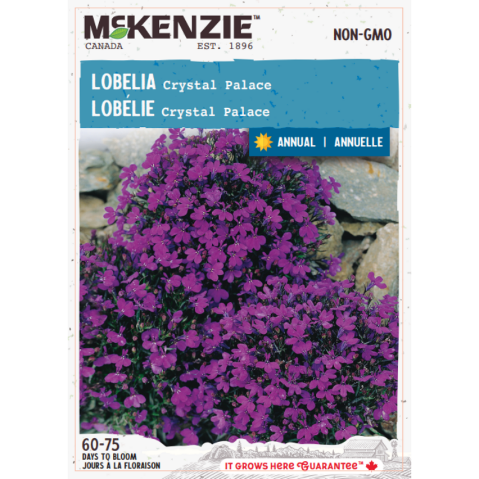 MK 2.79 F Lobelia Crystal Palace