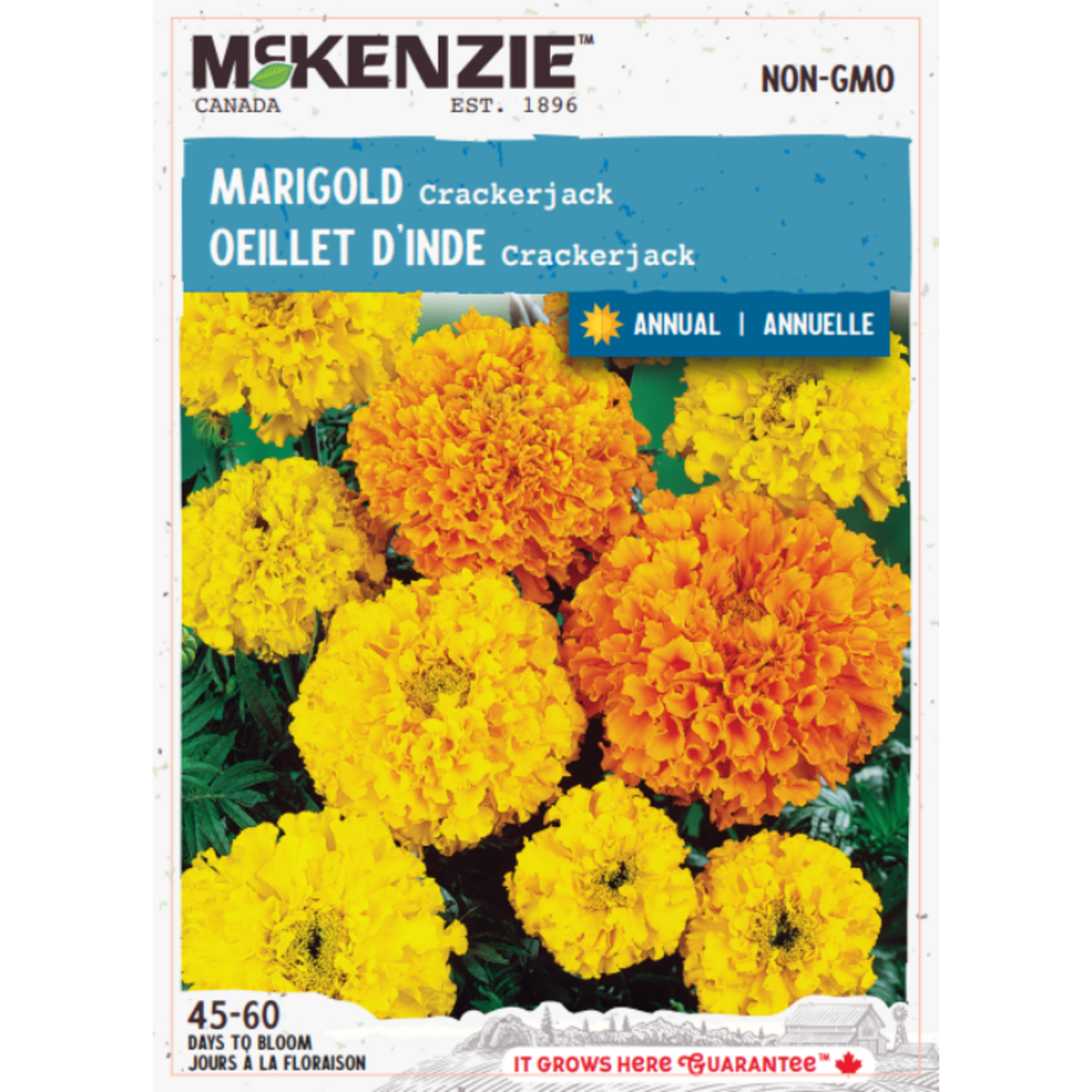 MK 2.49 F Marigold Crackerjack