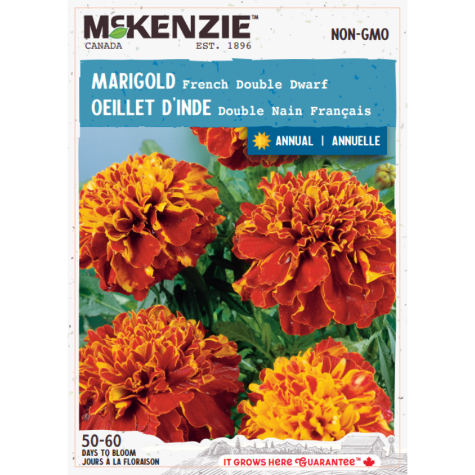 MK 2.79 F Marigold French Double Dwarf