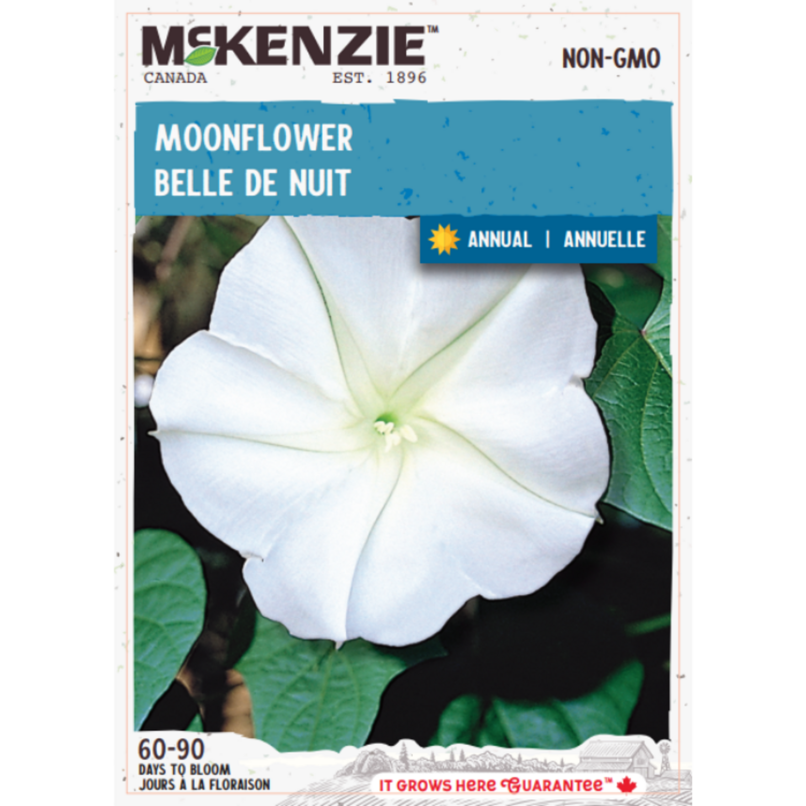 MK 3.49 F Moonflower