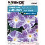 Morning Glory Flying Saucers