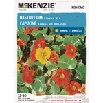 Nasturtium Alaska Mix