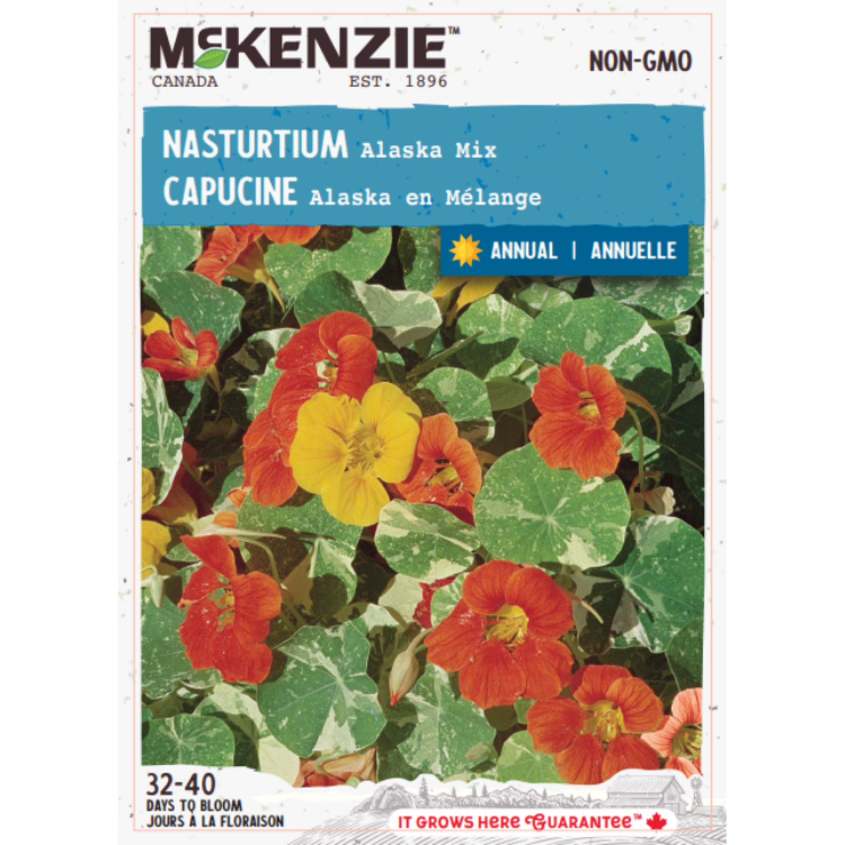 MK 2.49 F Nasturtium Alaska Mix