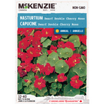 Nasturtium Dwarf Double Cherry Rose