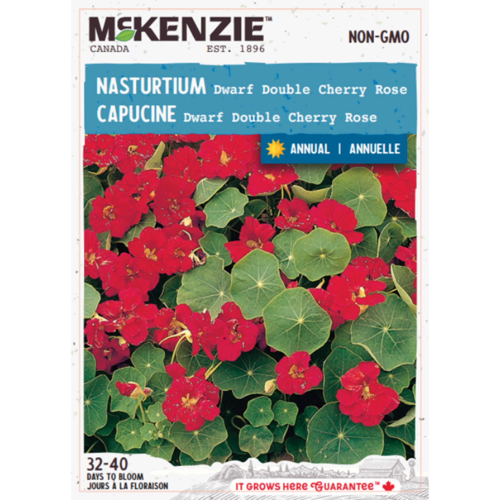 MK 2.49 F Nasturtium Dwarf Double Cherry Rose