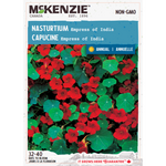 Nasturtium Empress of India