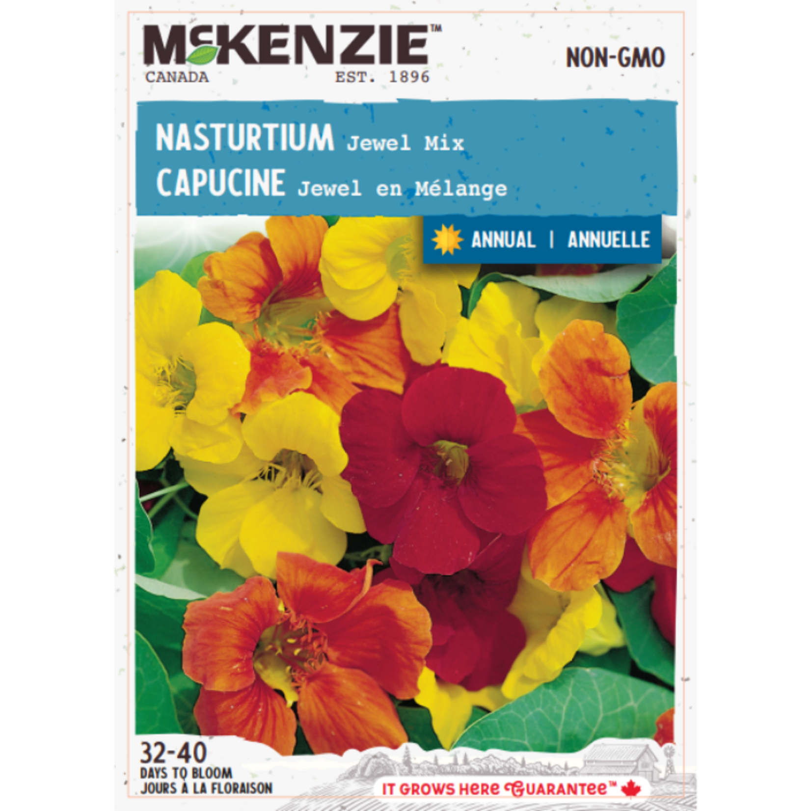 MK 2.49 F Nasturtium Jewel Mix
