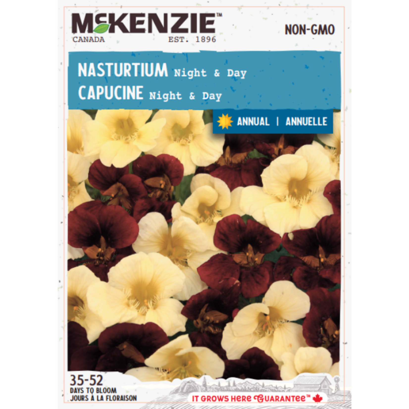 Nasturtium Night & Day