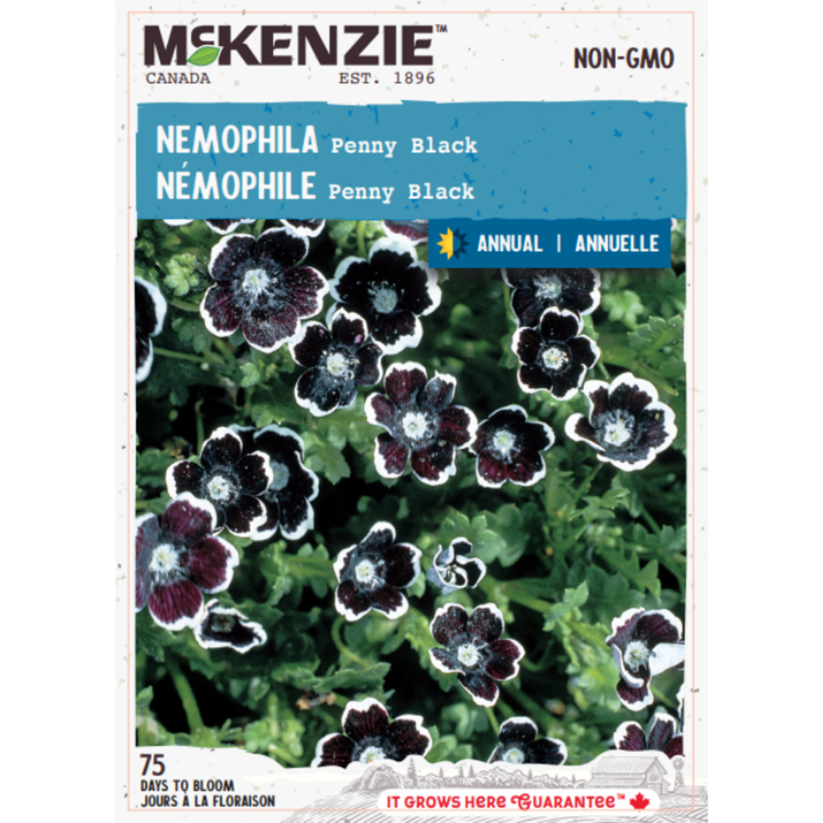 MK 2.79 F Nemophila Penny Black