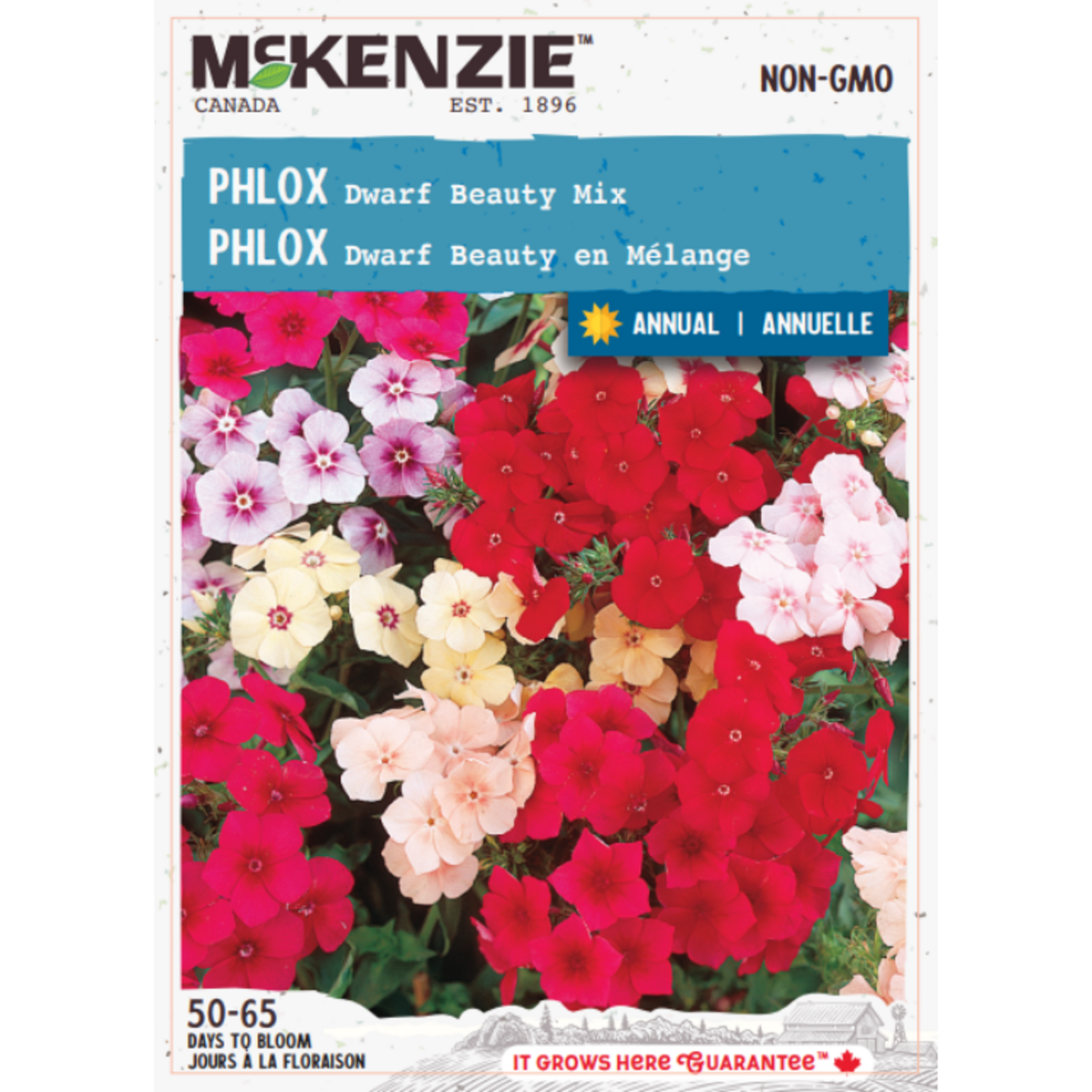 MK 2.49 F Phlox Dwarf Beauty Mix