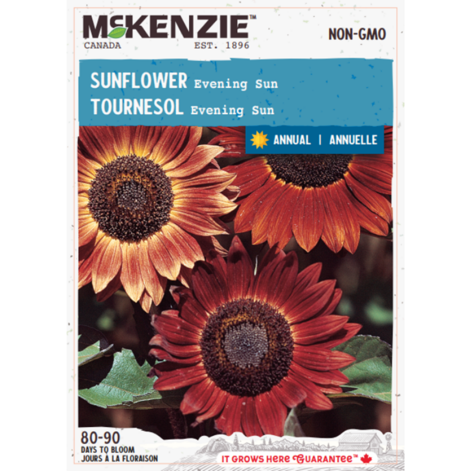 MK 2.49 F Sunflower Evening Sun