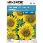 Sunflower Large Seeded Tall