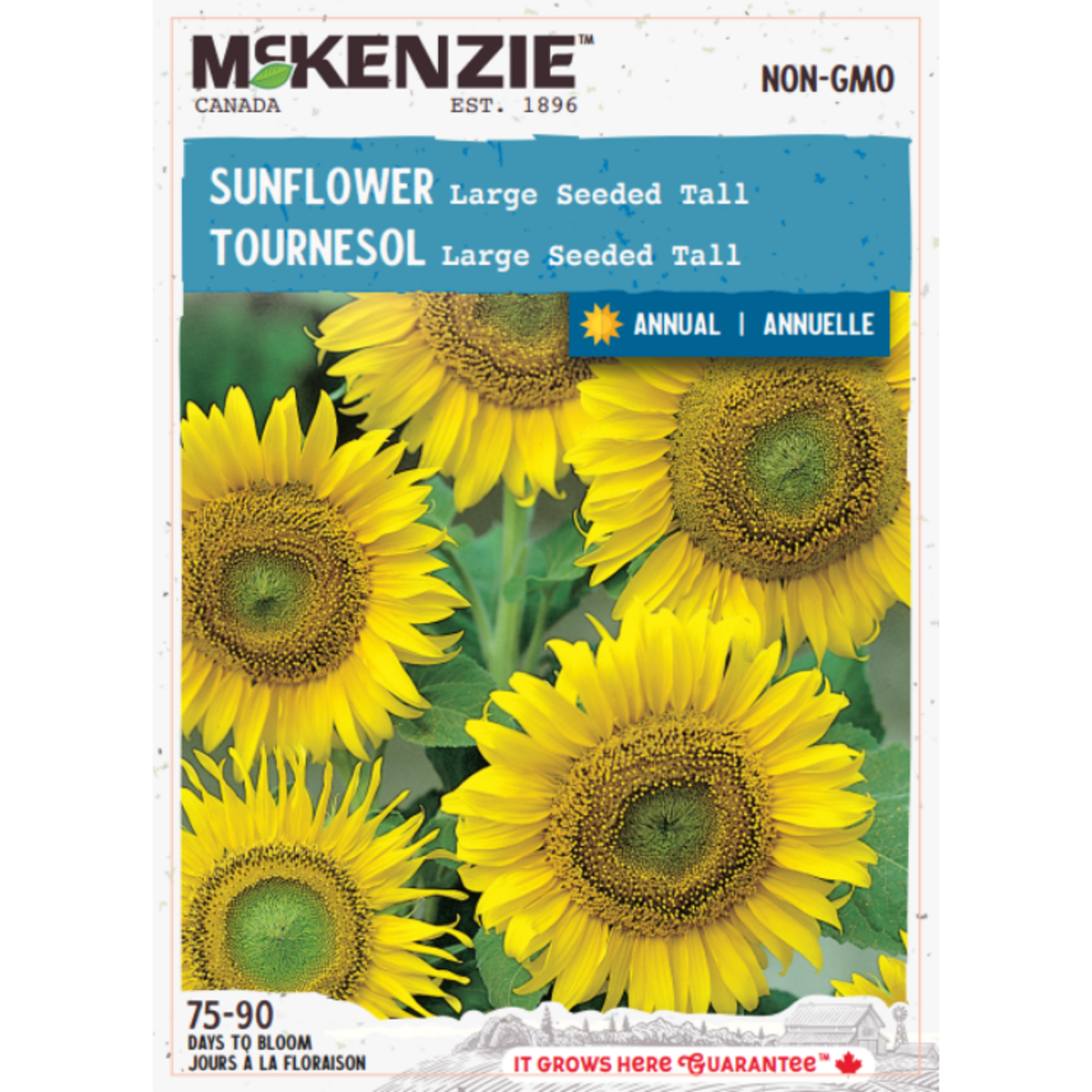 MK 2.49 F Sunflower Large Seeded Tall