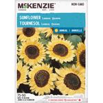 Sunflower Lemon Queen