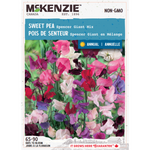 Sweet Pea Spencer Giant Mix