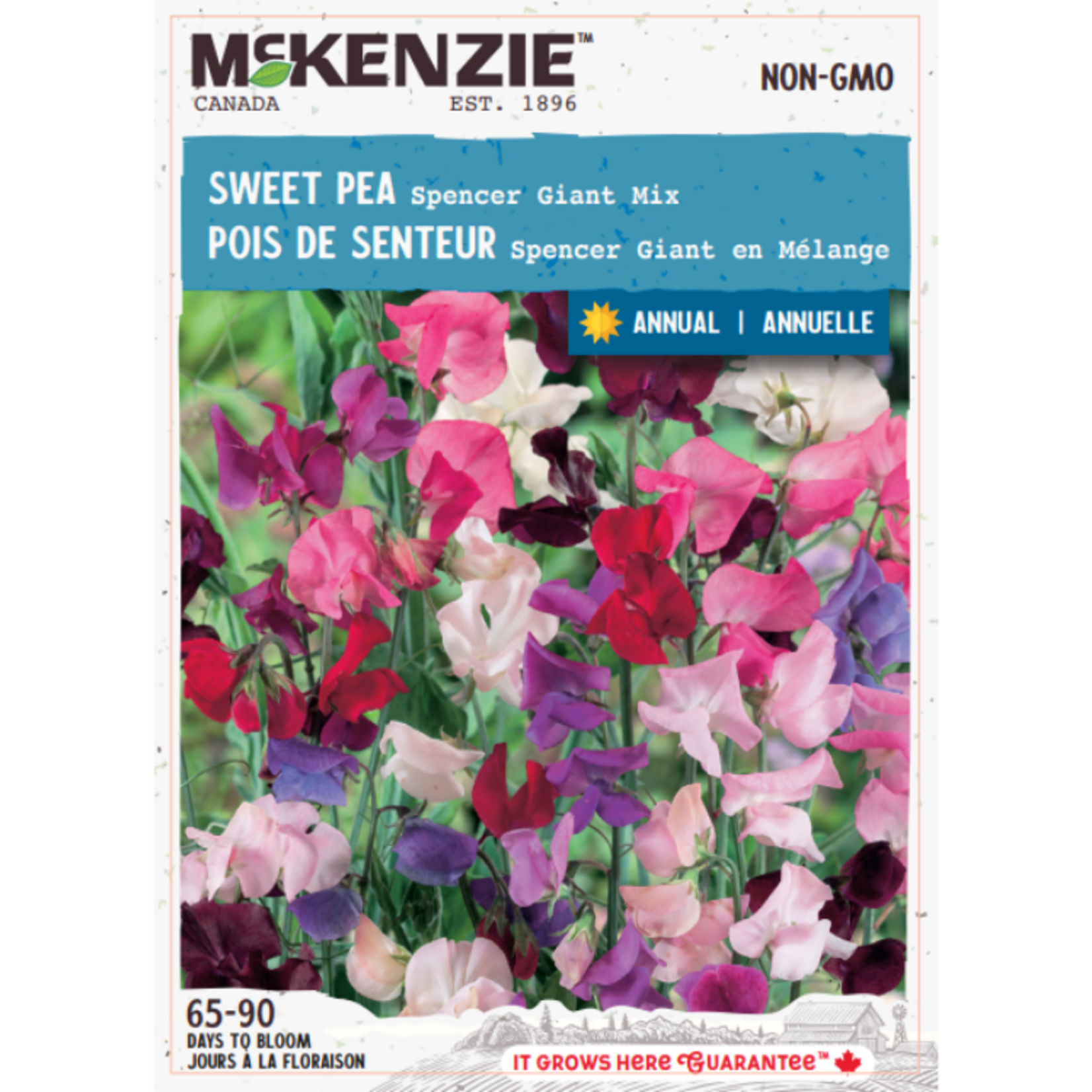 MK 2.49 F Sweet Pea Spencer Giant Mix