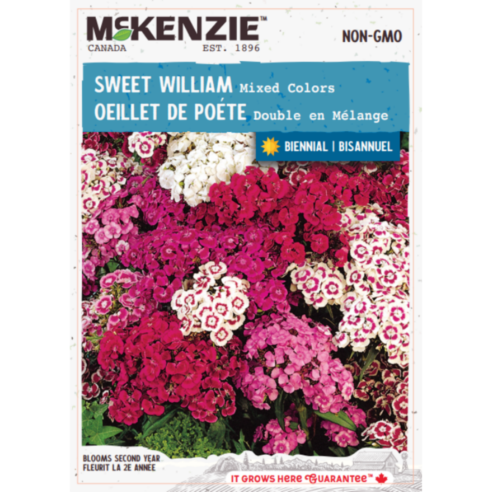 MK 2.49 F Sweet William Mixed Colors