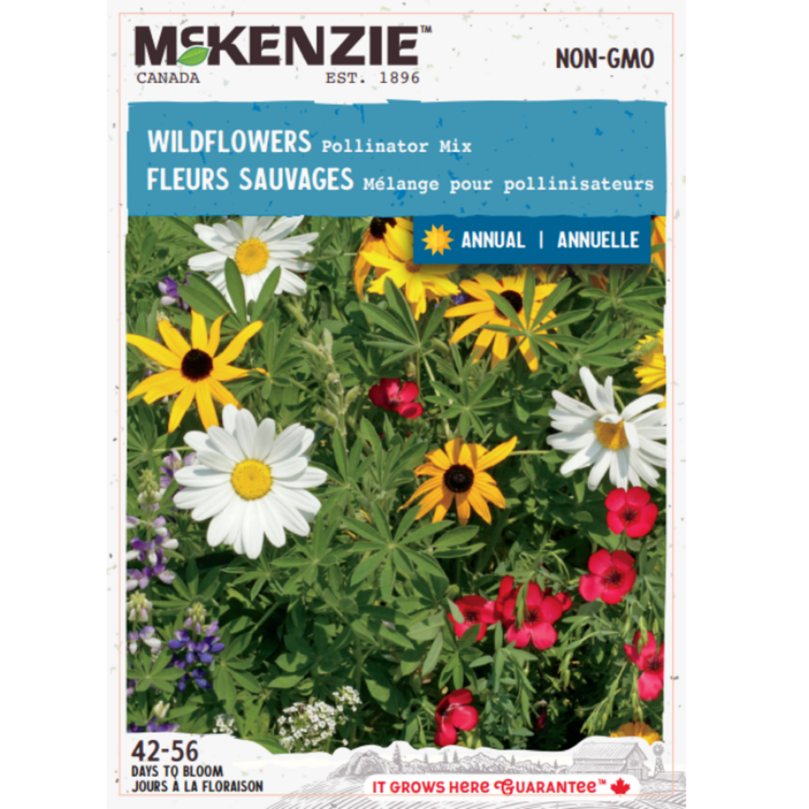 MK 2.79 F Wildflowers Pollinator Mix