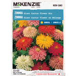 Zinnia Giant Cactus Flower Mix